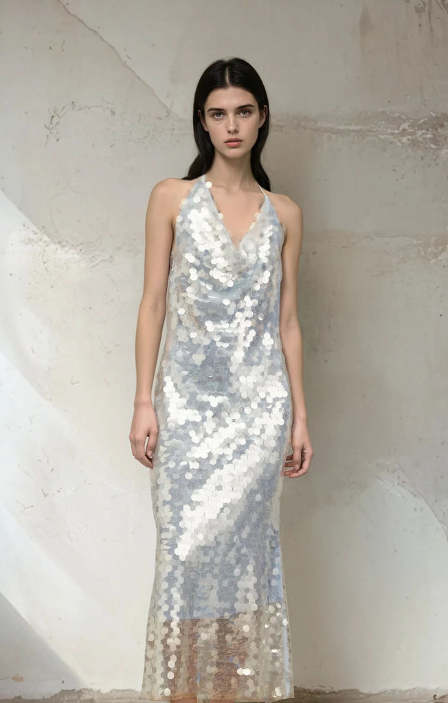 Sequins Slimming Midi Dress