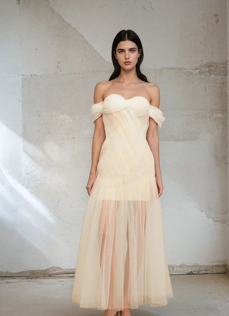Elegant Mesh Off The Shoulder Maxi Dress